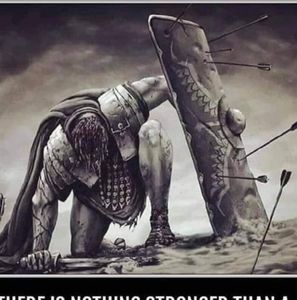 Meet your Posher, Dario